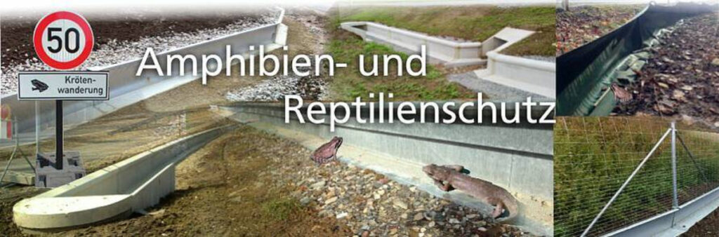 Gesamtbild Amphibien und Reptilienschutz